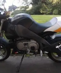 Buell XB12 x Buell XB12 x