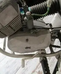 Fantic TX94 Caballero 50 Regolarità Fantic TX94 Caballero 50 Regolarità