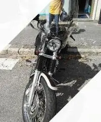 Harley-Davidson Sportster 1200 - 2005