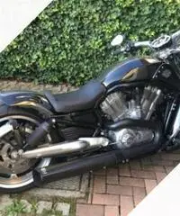 Harley davidson V road