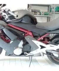 Kawasaki Er6   650 cc tenuta in modo maniacale Kawasaki Er6   650 cc tenuta in modo maniacale