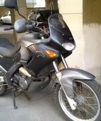 Aprilia Pegaso 650 anno 2003