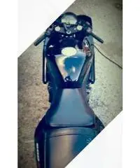 Cbr 600rr Cbr 600rr