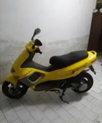 GILERA Runner 50 C14101 GILERA Runner 50 C14101