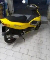GILERA Runner 50 C14101 GILERA Runner 50 C14101