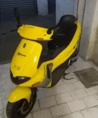 GILERA Runner 50 C14101 GILERA Runner 50 C14101
