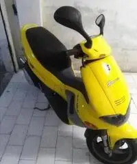 GILERA Runner 50 C14101 GILERA Runner 50 C14101