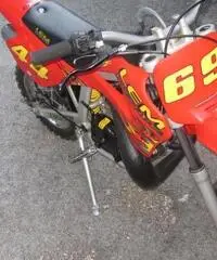 LEM MOTOR LX Cross cc 50 LEM MOTOR LX Cross cc 50