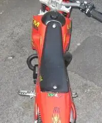 LEM MOTOR LX Cross cc 50 LEM MOTOR LX Cross cc 50