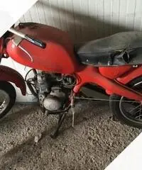 Motom Altro modello - Anni 60 Motom Altro modello - Anni 60