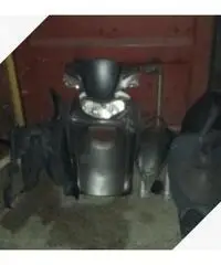 Piaggio Liberty S e altro - 2015 Piaggio Liberty S e altro - 2015