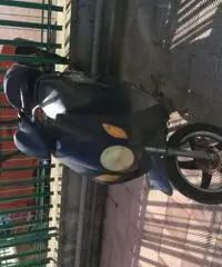 SCOOTER ELETTRICO DUCA BIKE SCOOTER ELETTRICO DUCA BIKE