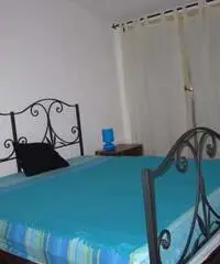 Gorizia Affitto Appartamento Gorizia Affitto Appartamento