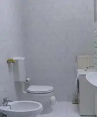 Gorizia Affitto Appartamento Gorizia Affitto Appartamento