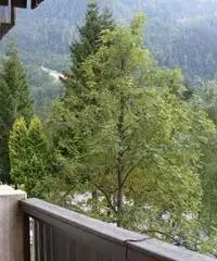 Chiusaforte: Appartamento Bilocale