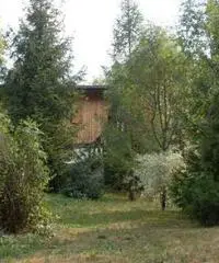 Malborghetto Valbruna: Casa indipendente 5 Locali o piu Malborghetto Valbruna: Casa indipendente 5 Locali o piu
