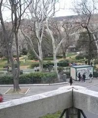 Appartamento luminoso