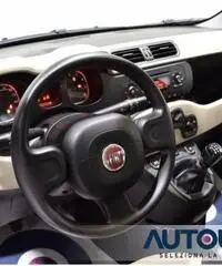 FIAT Panda 1.2 EASY SOLO 28.000 KM NEOPATENTATI NUOVA