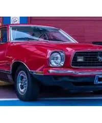 FORD Mustang 1977 FORD Mustang 1977