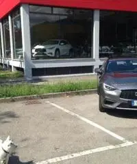 INFINITI Q30 1.5 diesel Business INFINITI Q30 1.5 diesel Business
