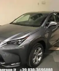 LEXUS NX 300h Hybrid 4WD Luxury LEXUS NX 300h Hybrid 4WD Luxury