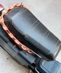 GILERA CB1 50 (1980) - EPOCA - MECCANICA PERFETTA - UNIPROPRIETARIO - REALIZZO IMMEDIATO GILERA CB1 50 (1980) - EPOCA - MECCANICA PERFETTA - UNIPROPRIETARIO - REALIZZO IMMEDIATO