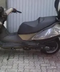 APRILIA Atlantic tipo veicolo Scooter cc 250