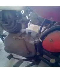 BENELLI X 125 Turismo cc 125