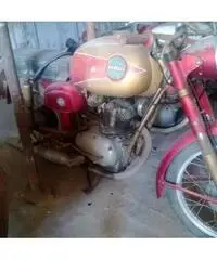 BENELLI X 125 Turismo cc 125