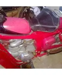 CAPRONI CAPRIOLO 75 2T cc 125 immatricolata 1950