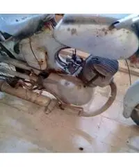 DUCATI DUCATI cc 125 immatricolata 1950