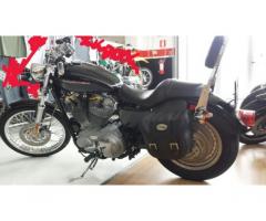 Harley Davidson Sportster 883 xl custom
