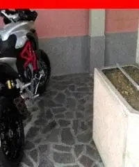 MV AGUSTA Turismo Veloce 800 grigia  - 0 MV AGUSTA Turismo Veloce 800 grigia  - 0