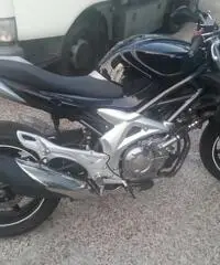 vendo suzuki gladius vendo suzuki gladius