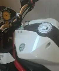BENELLI TNT 1130 Export price www.actionbike.it BENELLI TNT 1130 Export price www.actionbike.it