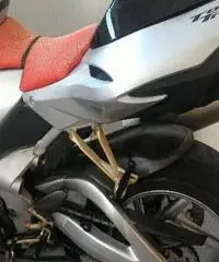 BENELLI Tornado 900 Export price www.actionbike.it BENELLI Tornado 900 Export price www.actionbike.it