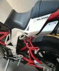 BIMOTA DB6 Delirio Export price www.actionbike.it BIMOTA DB6 Delirio Export price www.actionbike.it
