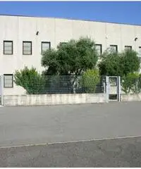 Capannone Singolo Ponte San Marco di Calcinato - Brescia Capannone Singolo Ponte San Marco di Calcinato - Brescia