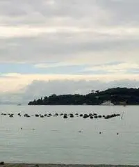 Portovenere: Appartamento 3 Locali Portovenere: Appartamento 3 Locali