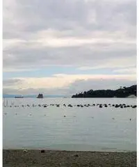 Portovenere: Appartamento 3 Locali Portovenere: Appartamento 3 Locali