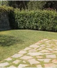 Villa a Loano
