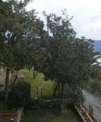 Recco: Villa 5 Locali o piu