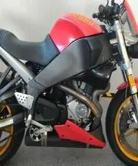 BUELL Lightning XB 12S Export price www.actionbike.it