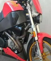BUELL Lightning XB 12S Export price www.actionbike.it BUELL Lightning XB 12S Export price www.actionbike.it