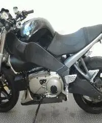 BUELL Lightning XB 12S Export price www.actionbike.it BUELL Lightning XB 12S Export price www.actionbike.it