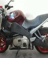 BUELL Lightning XB 12S Export price www.actionbike.it