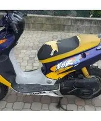 HONDA X8r Scooter cc 50