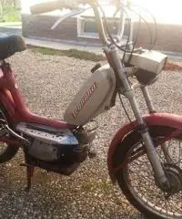 Minarelli 1974