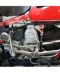 MOTO GUZZI V7 Super Alce 500