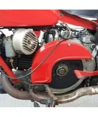 MOTO GUZZI V7 Super Alce 500